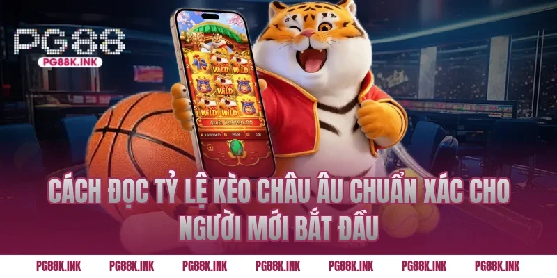 Cách đọc tỷ lệ kèo châu Âu chuẩn xác cho người mới bắt đầu